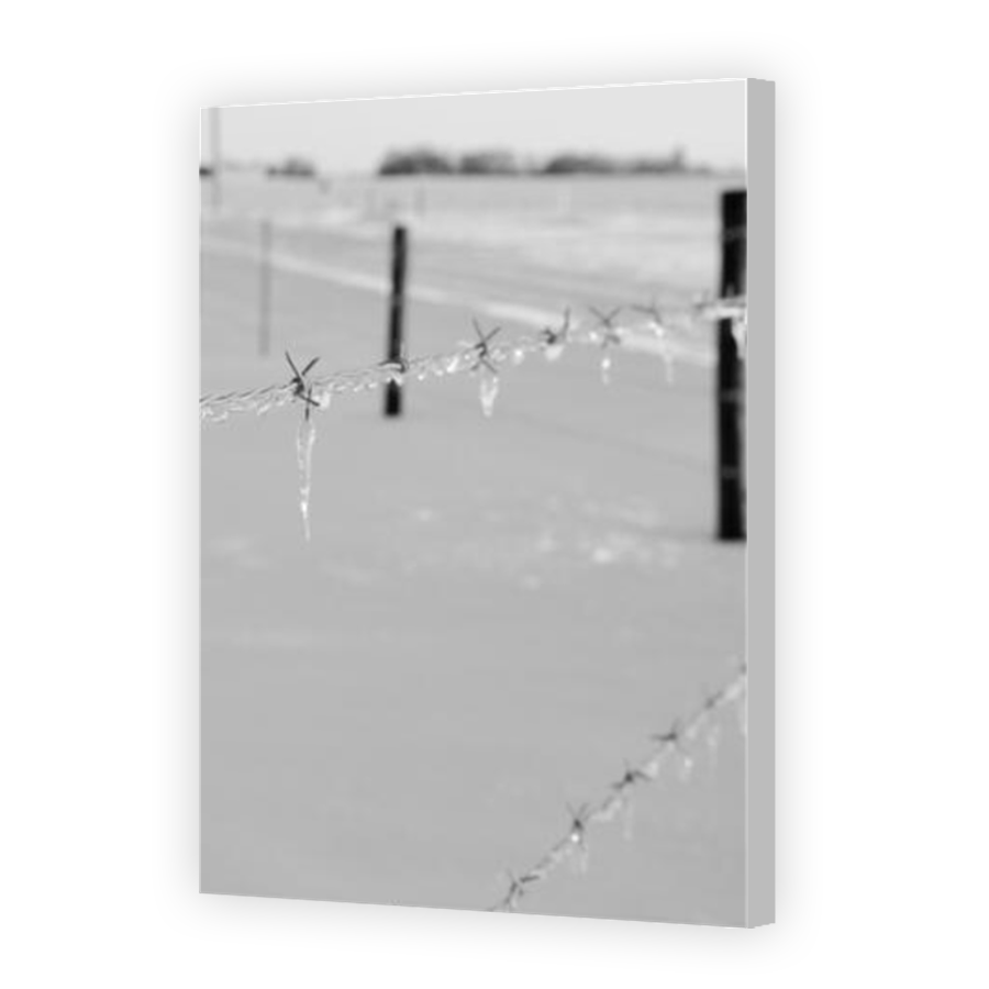 Thumbnail for Canvas - Coloured Canvas Wrap