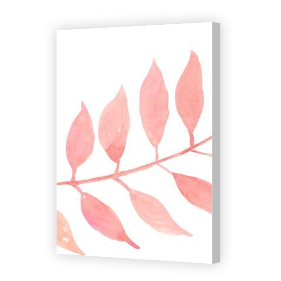 Thumbnail for Canvas - Coloured Canvas Wrap
