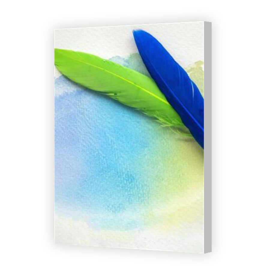 Thumbnail for Canvas - Coloured Canvas Wrap