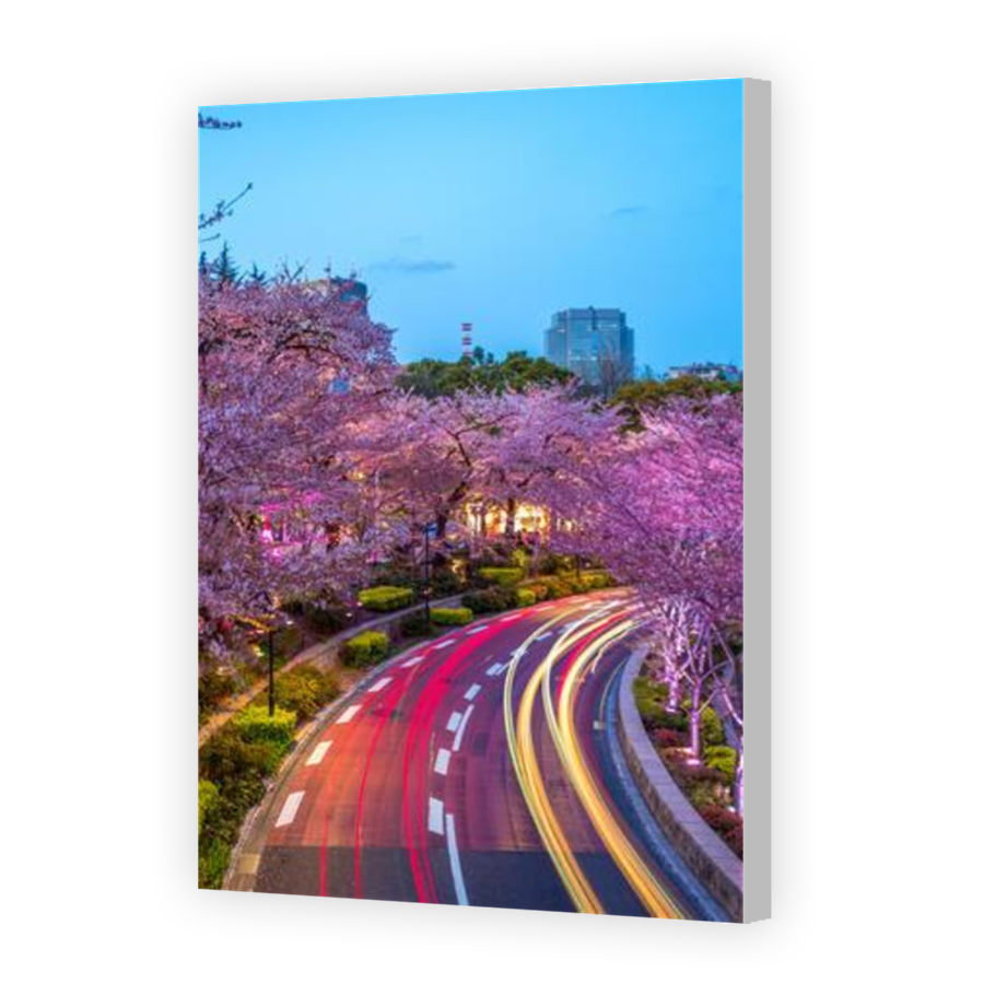Thumbnail for Canvas - Coloured Canvas Wrap