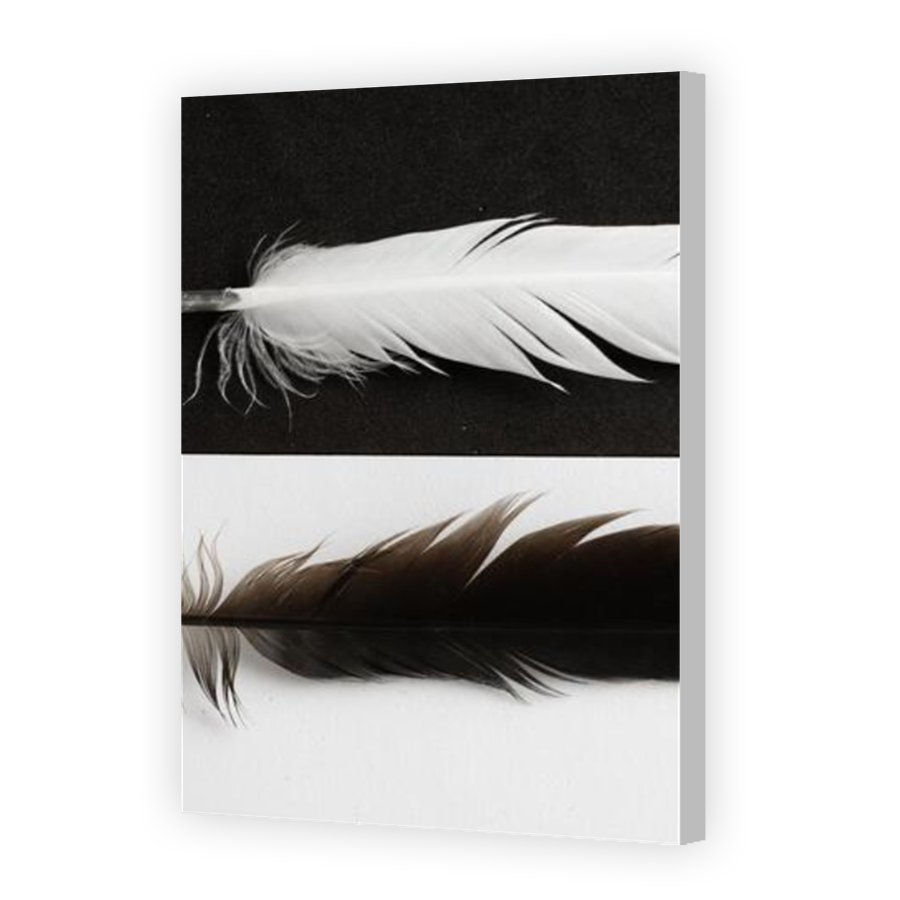 Thumbnail for Canvas - Coloured Canvas Wrap