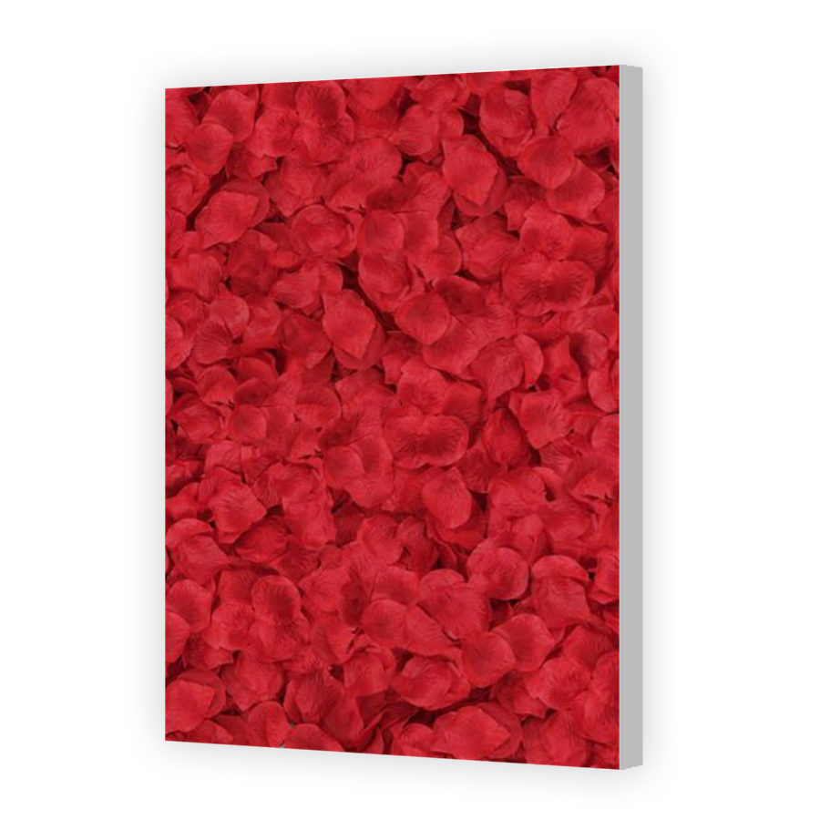 Thumbnail for Canvas - Coloured Canvas Wrap