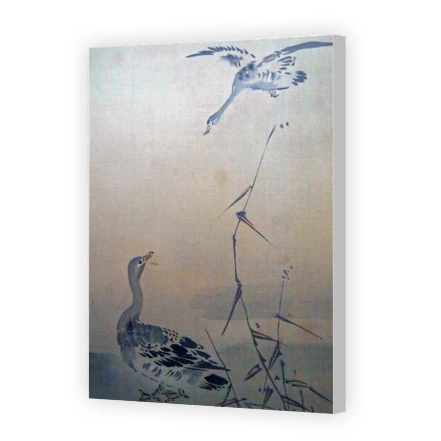 Thumbnail for Canvas - Coloured Canvas Wrap