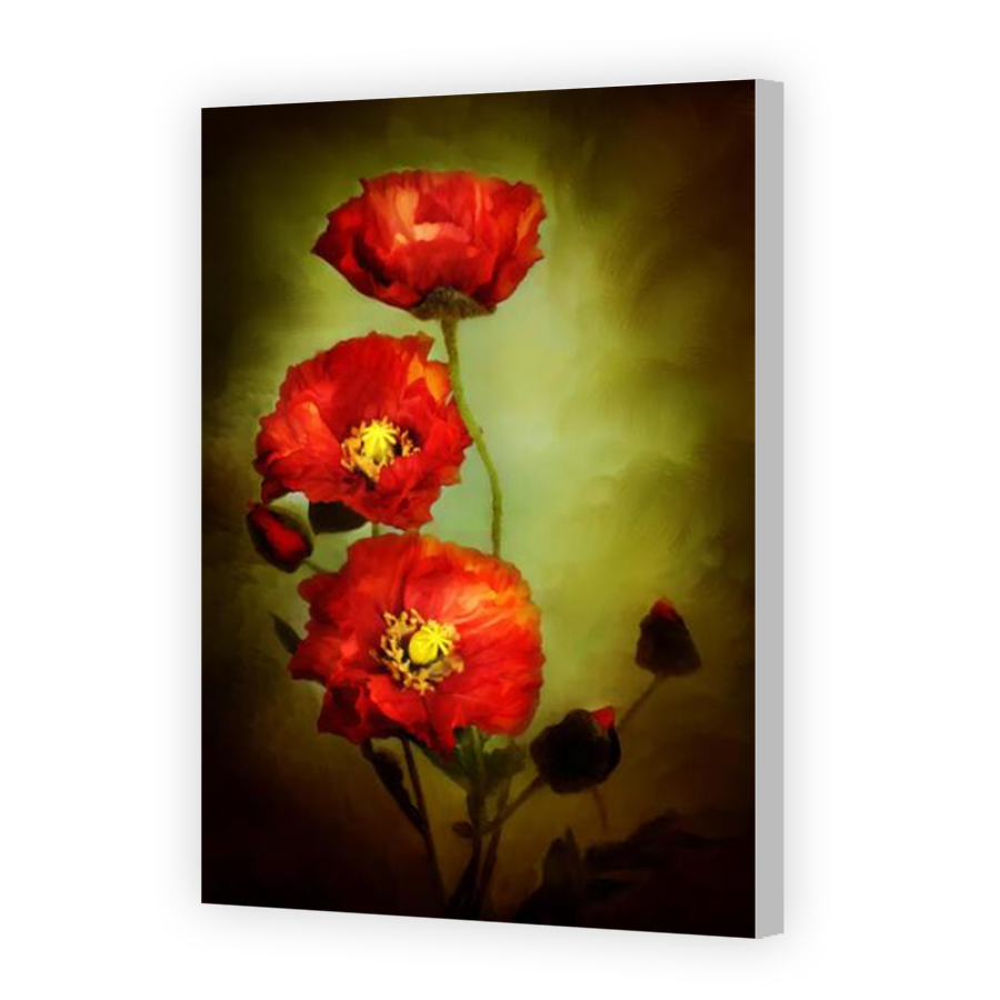 Thumbnail for Canvas - Coloured Canvas Wrap