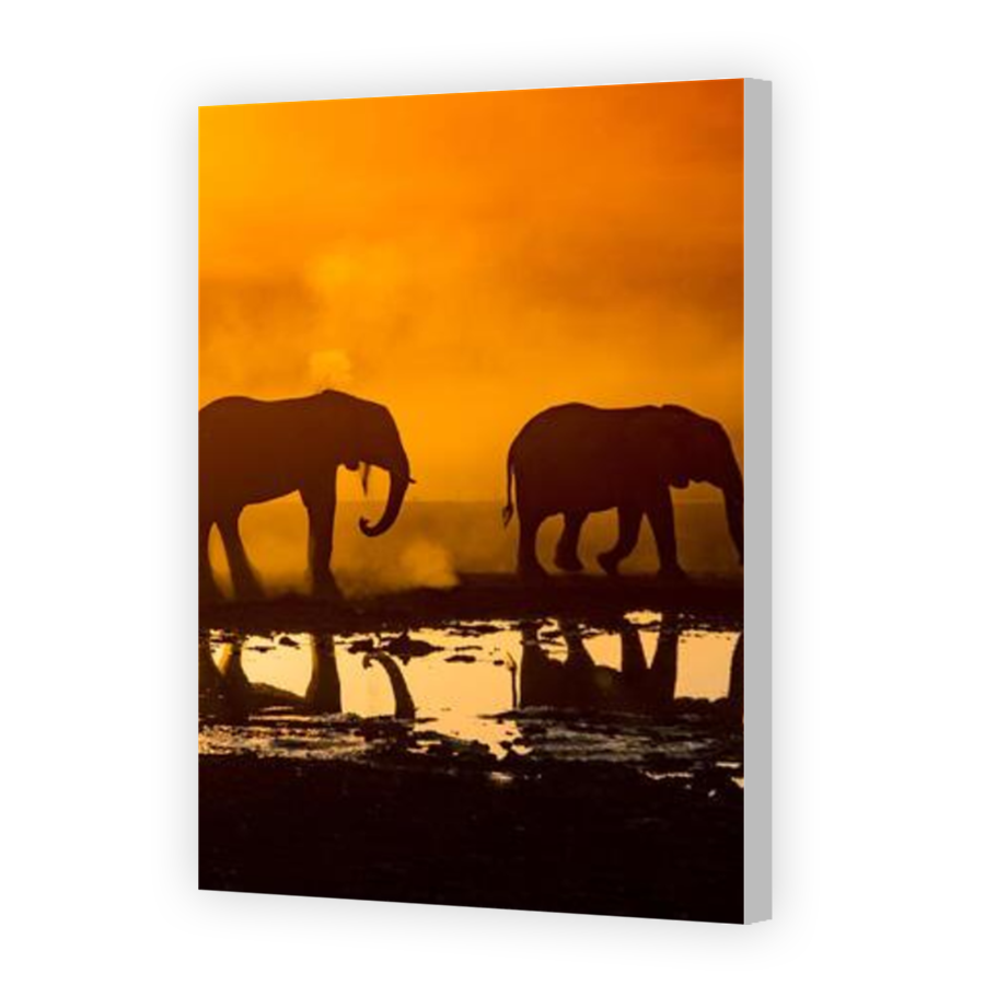 Thumbnail for Canvas - Coloured Canvas Wrap