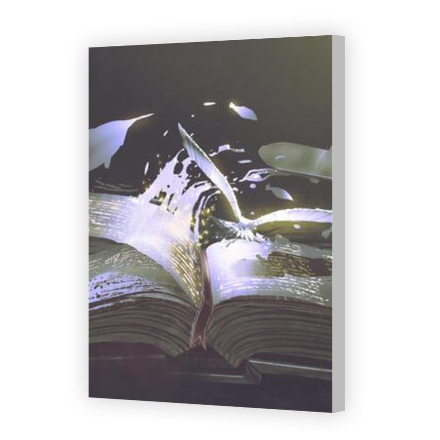 Thumbnail for Canvas - Coloured Canvas Wrap