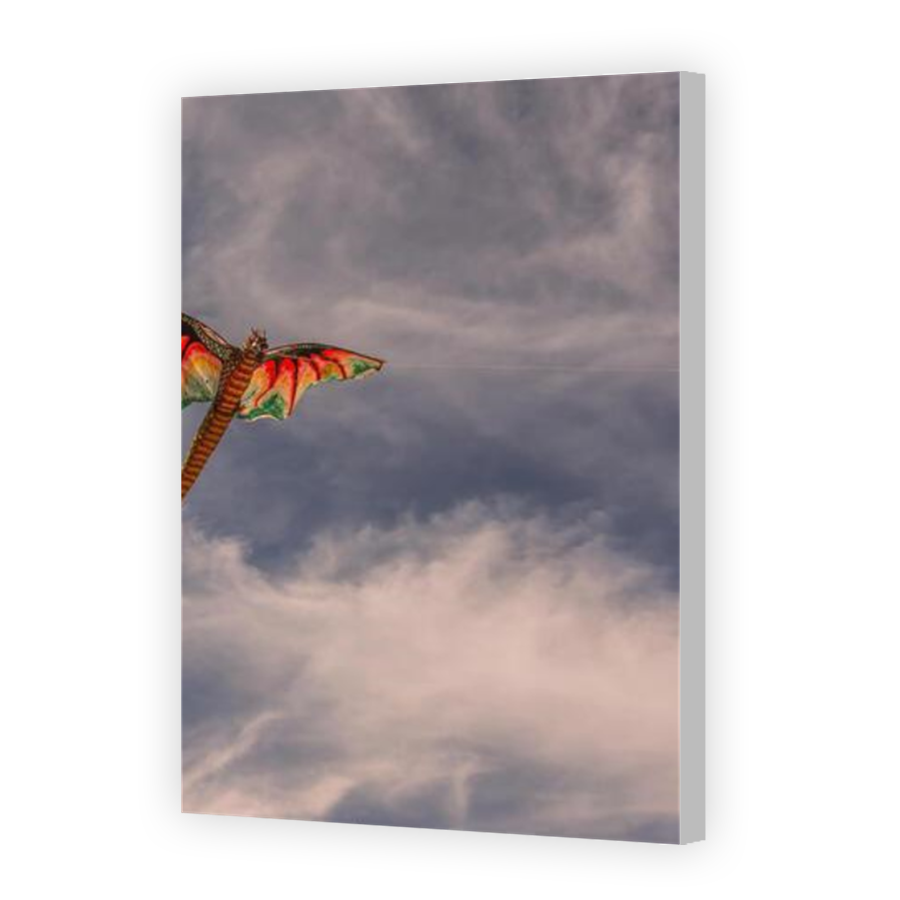 Thumbnail for Canvas - Coloured Canvas Wrap