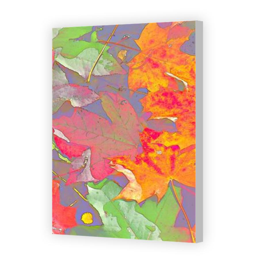 Thumbnail for Canvas - Coloured Canvas Wrap