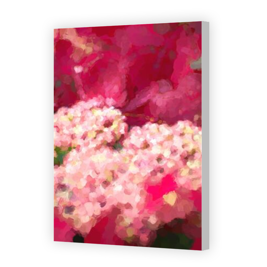 Thumbnail for Canvas - Coloured Canvas Wrap