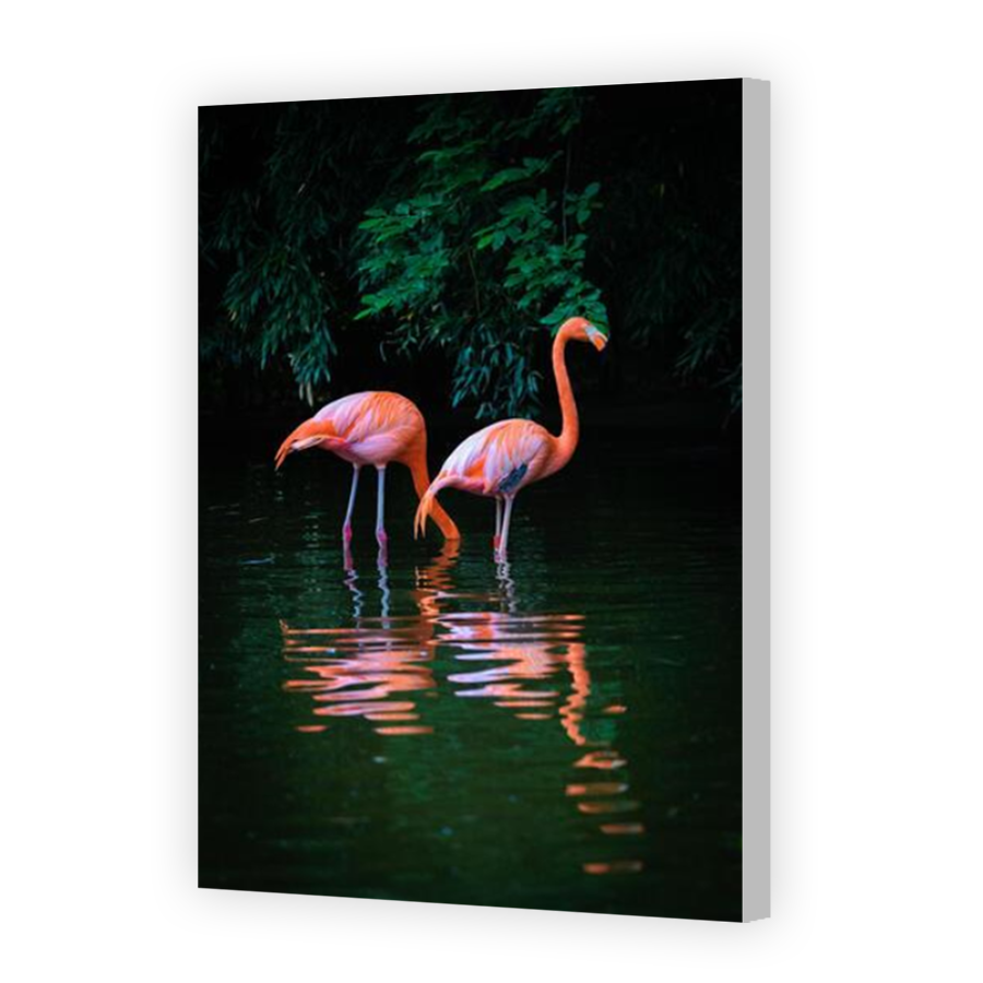 Thumbnail for Canvas - Coloured Canvas Wrap