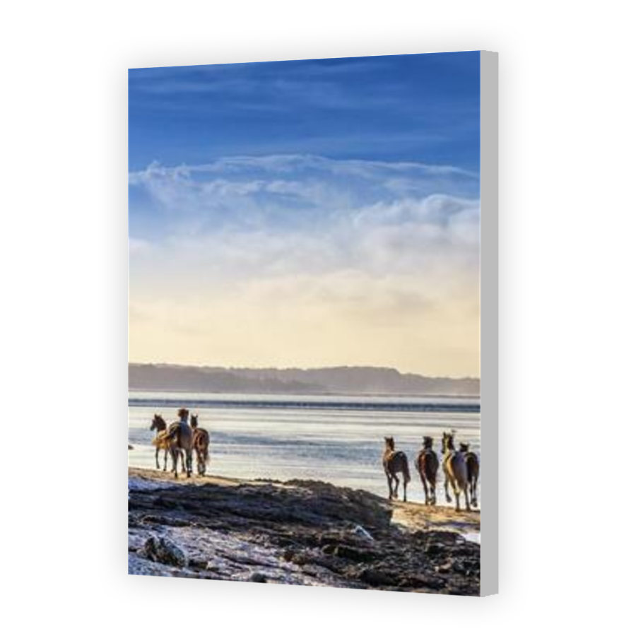 Thumbnail for Canvas - Coloured Canvas Wrap