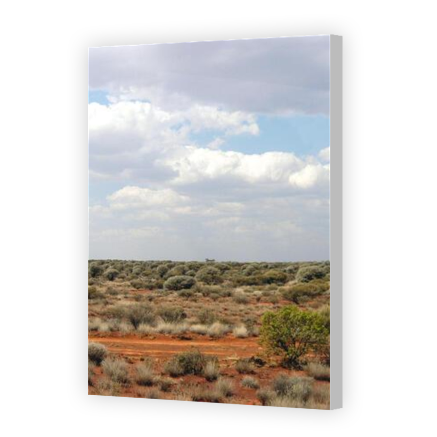 Thumbnail for Canvas - Coloured Canvas Wrap