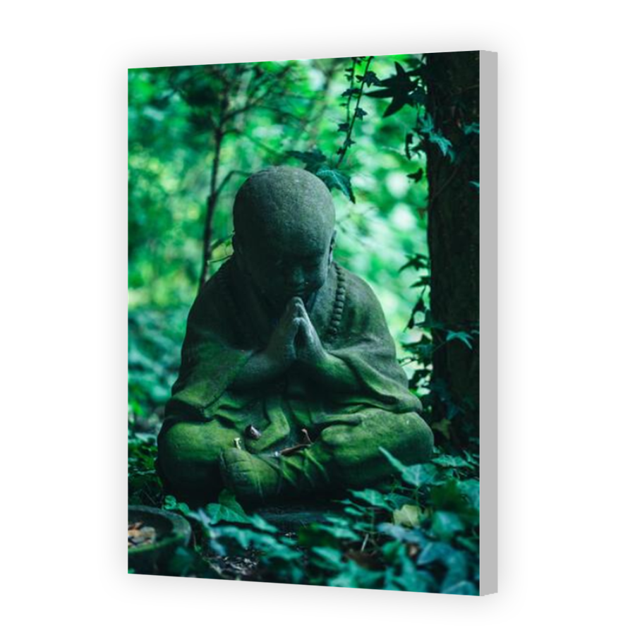 Thumbnail for Canvas - Coloured Canvas Wrap