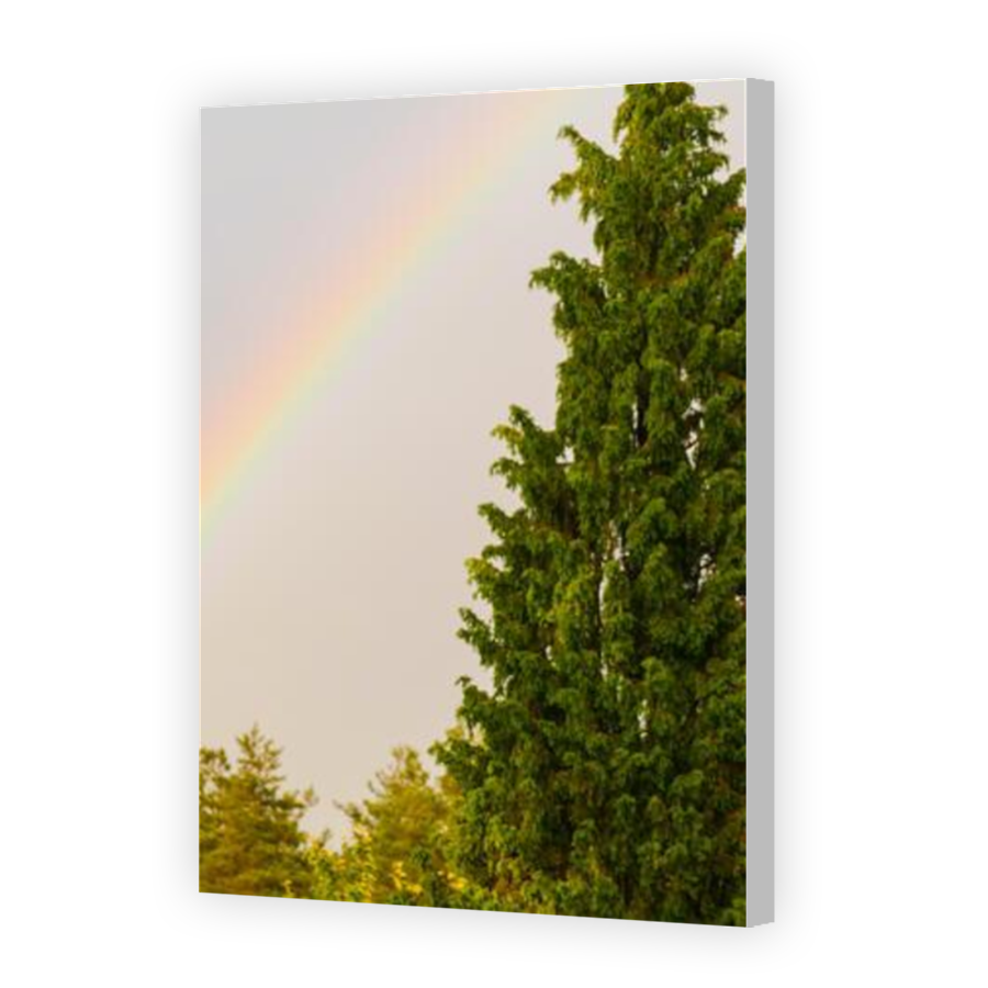 Thumbnail for Canvas - Coloured Canvas Wrap