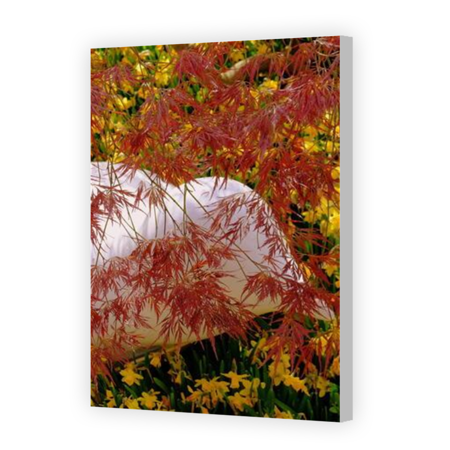 Thumbnail for Canvas - Coloured Canvas Wrap