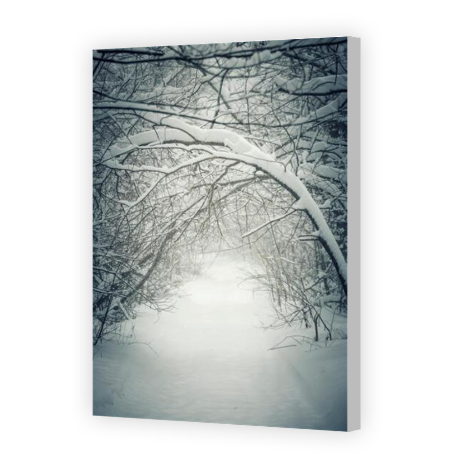 Thumbnail for Canvas - Coloured Canvas Wrap