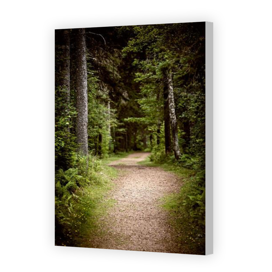 Thumbnail for Canvas - Coloured Canvas Wrap