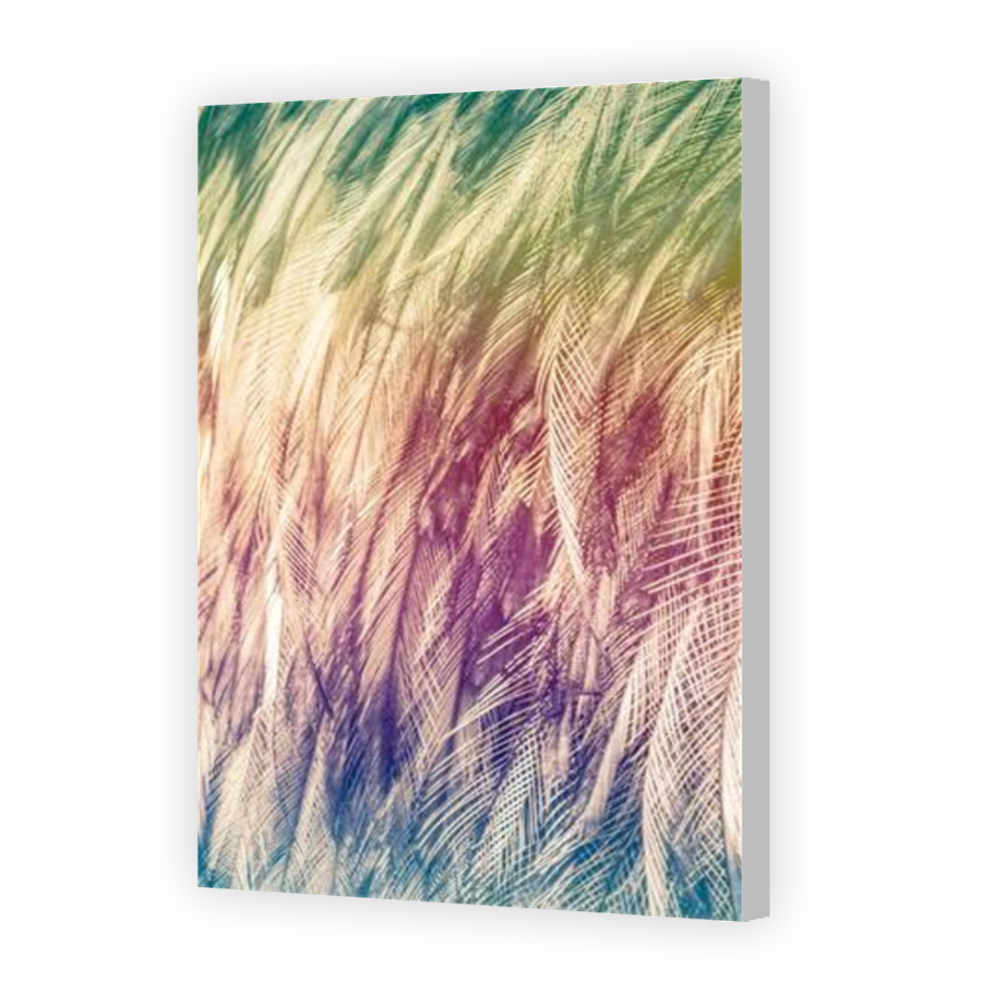 Thumbnail for Canvas - Coloured Canvas Wrap
