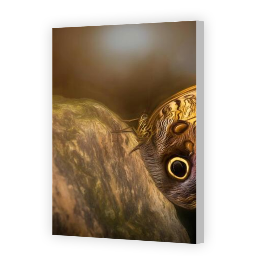 Thumbnail for Canvas - Coloured Canvas Wrap