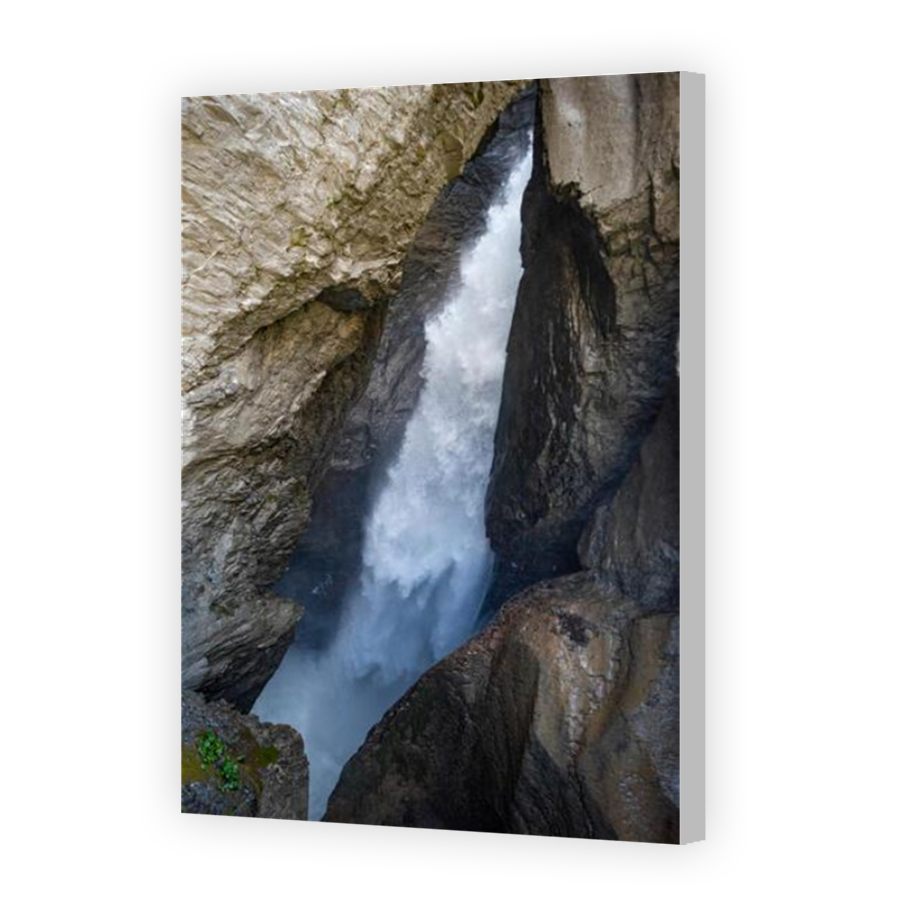 Thumbnail for Canvas - Coloured Canvas Wrap