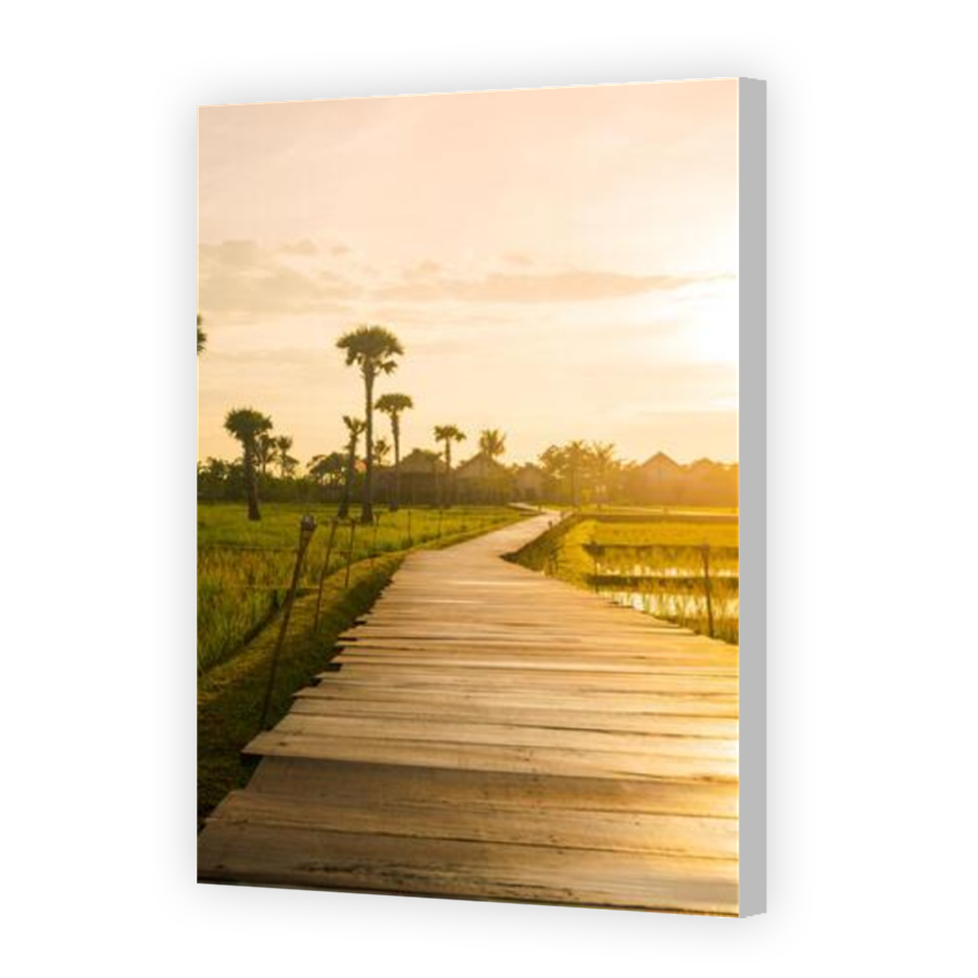 Thumbnail for Canvas - Coloured Canvas Wrap