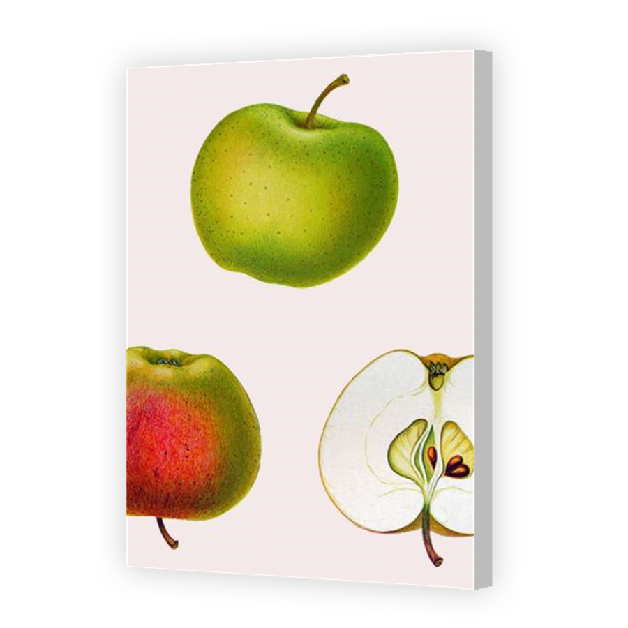 Thumbnail for Canvas - Coloured Canvas Wrap