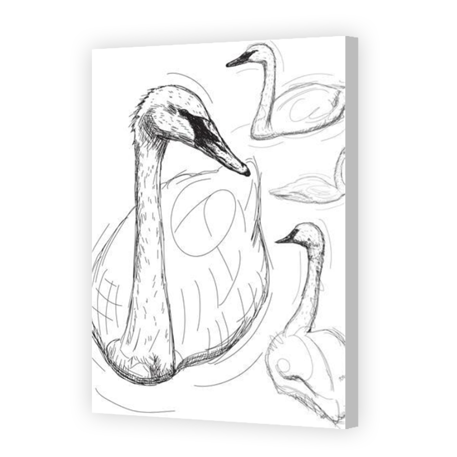 Thumbnail for Canvas - Coloured Canvas Wrap