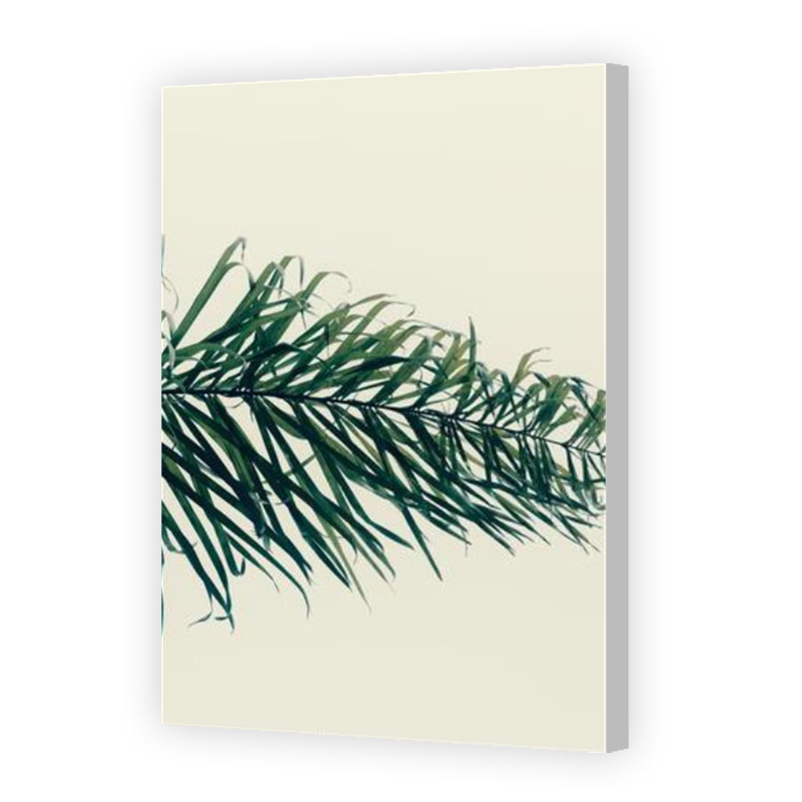 Thumbnail for Canvas - Coloured Canvas Wrap