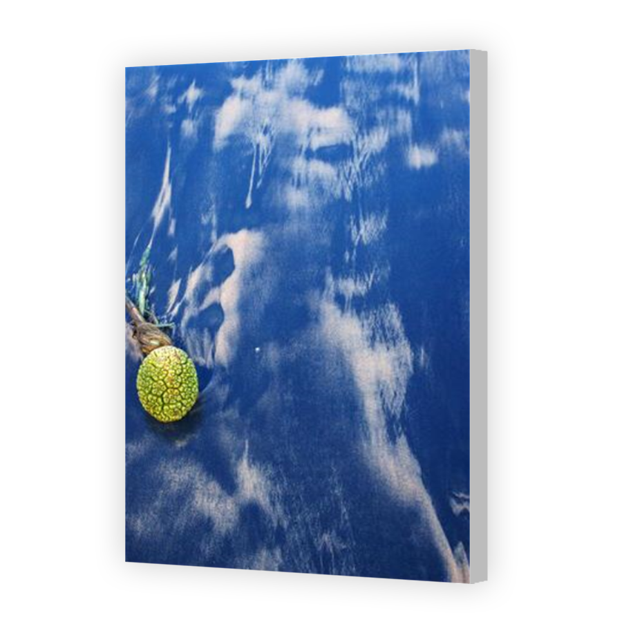 Thumbnail for Canvas - Coloured Canvas Wrap