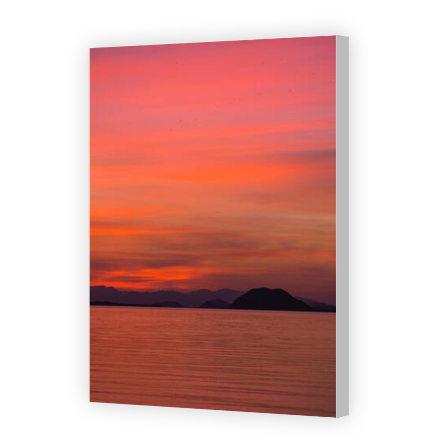 Thumbnail for Canvas - Coloured Canvas Wrap
