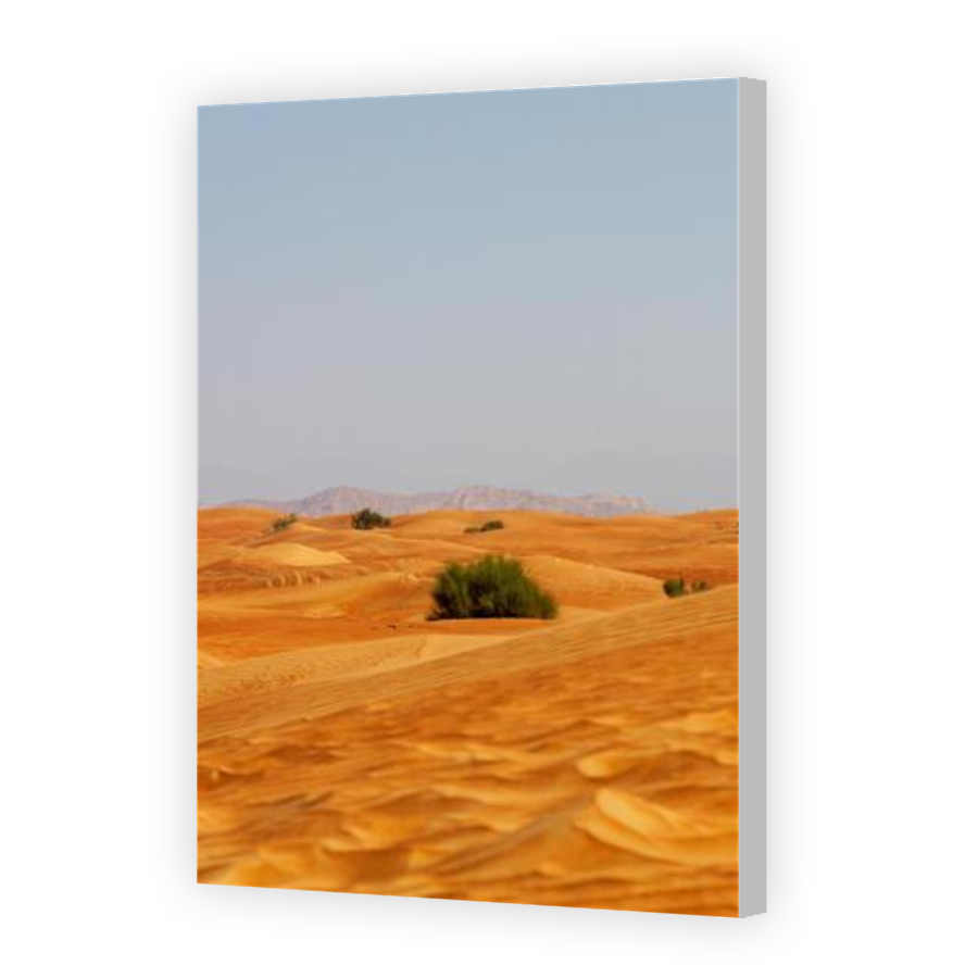 Thumbnail for Canvas - Coloured Canvas Wrap