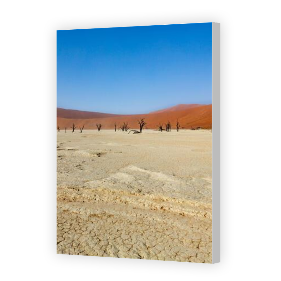 Thumbnail for Canvas - Coloured Canvas Wrap