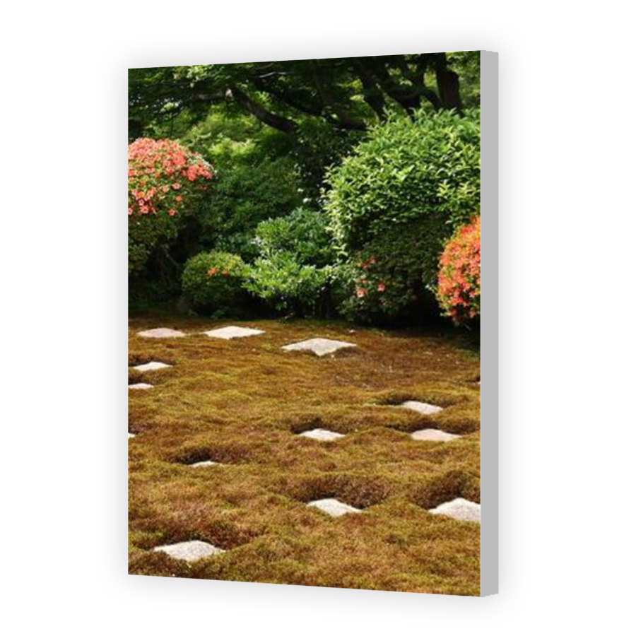 Thumbnail for Canvas - Coloured Canvas Wrap