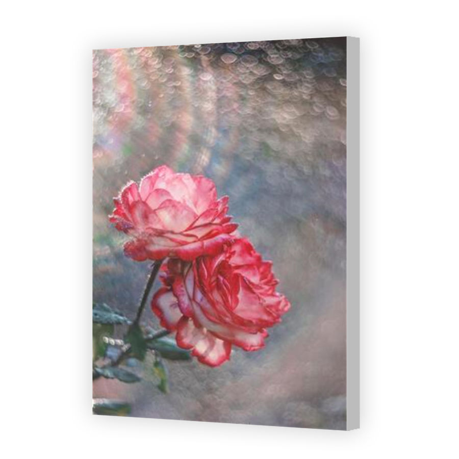 Thumbnail for Canvas - Coloured Canvas Wrap
