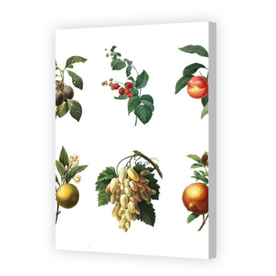Thumbnail for Canvas - Coloured Canvas Wrap