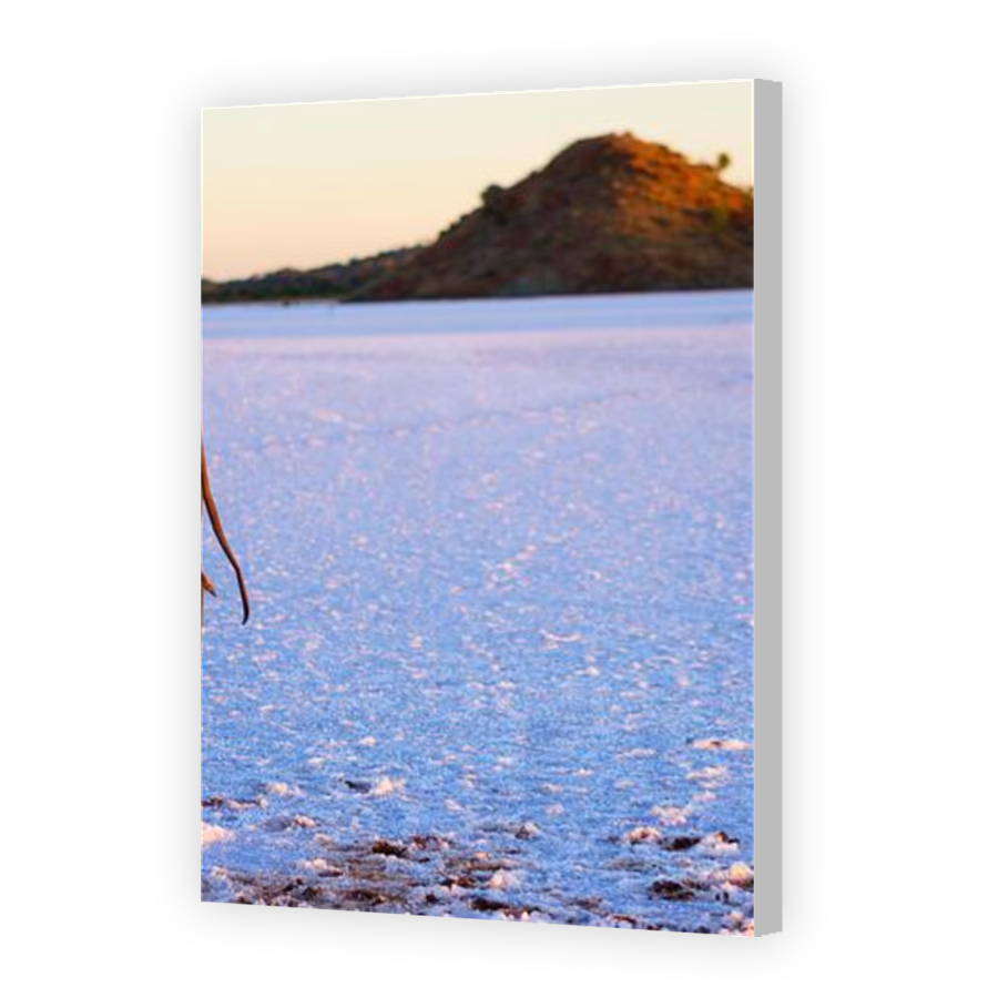 Thumbnail for Canvas - Coloured Canvas Wrap