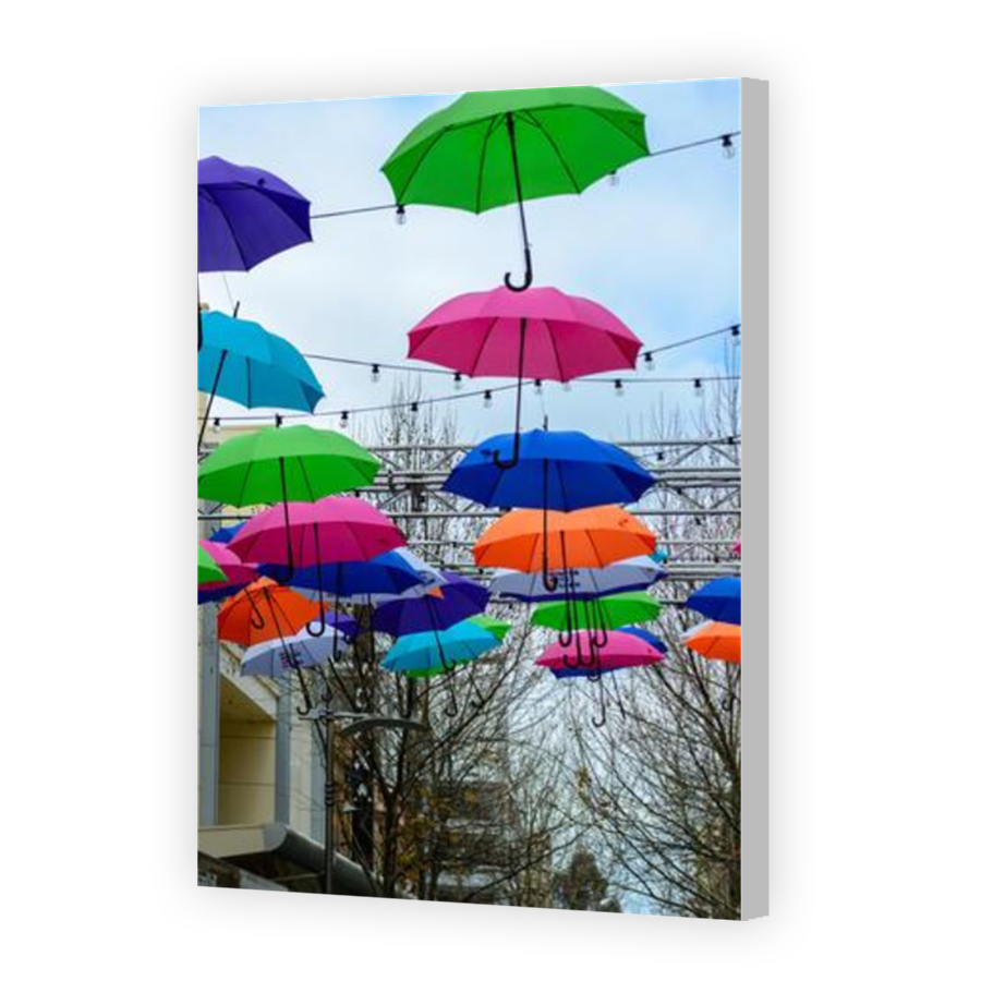 Thumbnail for Canvas - Coloured Canvas Wrap