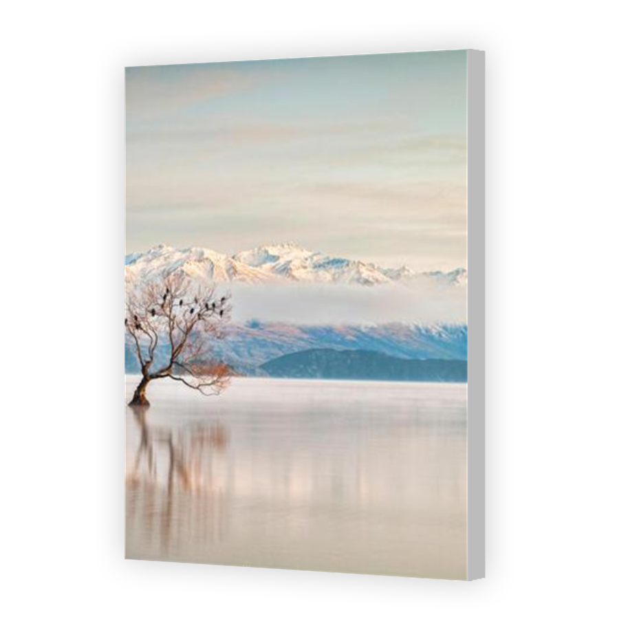 Thumbnail for Canvas - Coloured Canvas Wrap