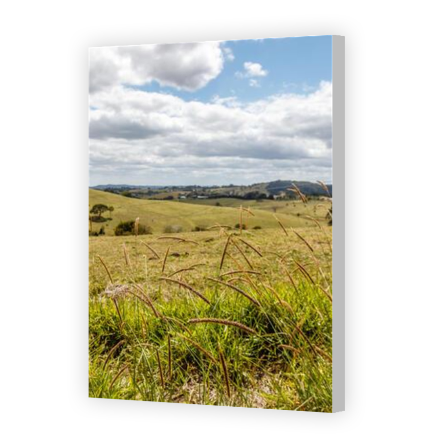 Thumbnail for Canvas - Coloured Canvas Wrap