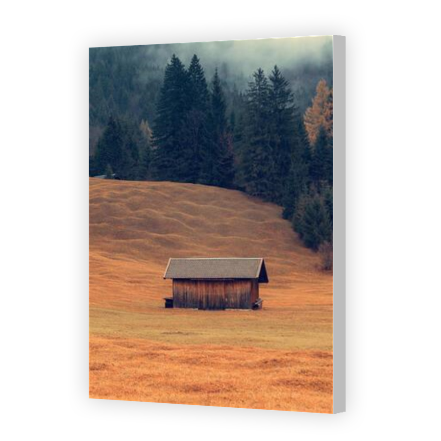 Thumbnail for Canvas - Coloured Canvas Wrap