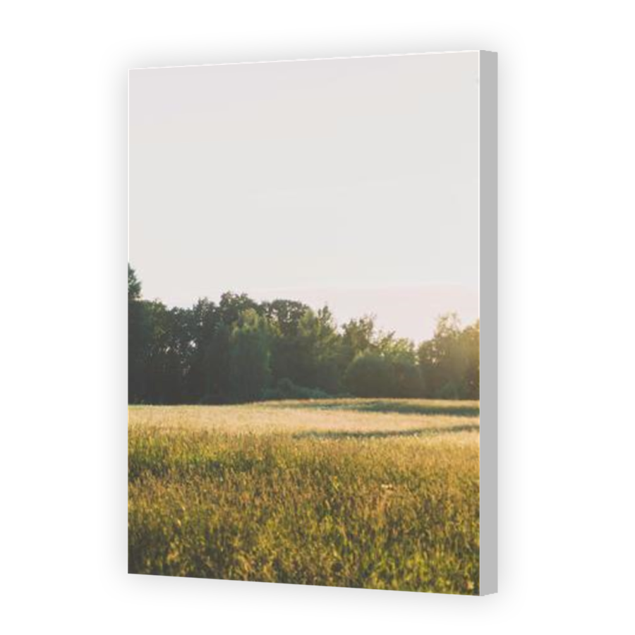 Thumbnail for Canvas - Coloured Canvas Wrap