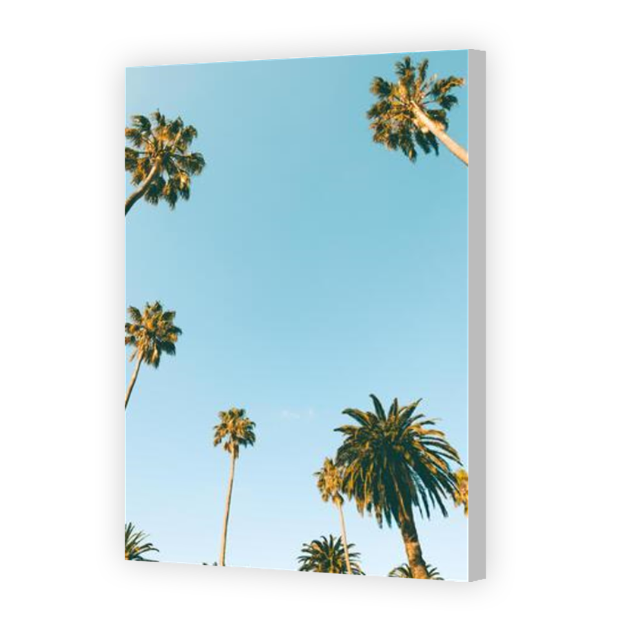Thumbnail for Canvas - Coloured Canvas Wrap