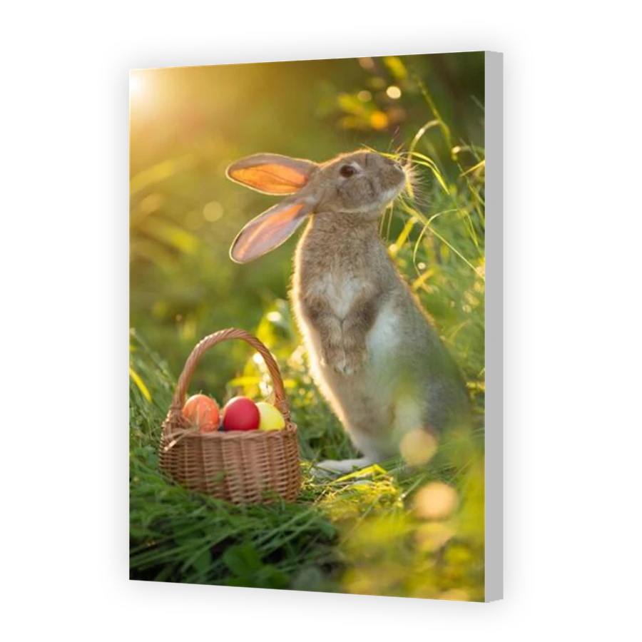 Thumbnail for Canvas - Coloured Canvas Wrap