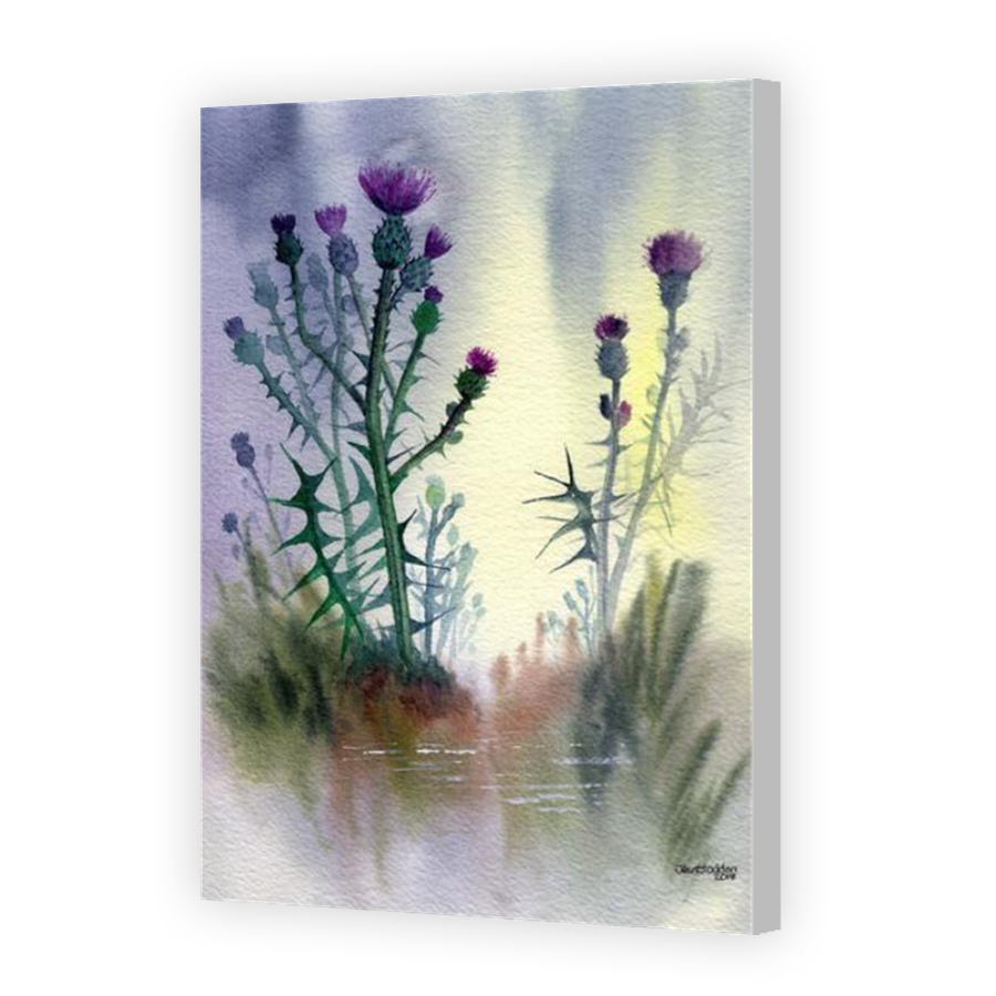 Thumbnail for Canvas - Coloured Canvas Wrap