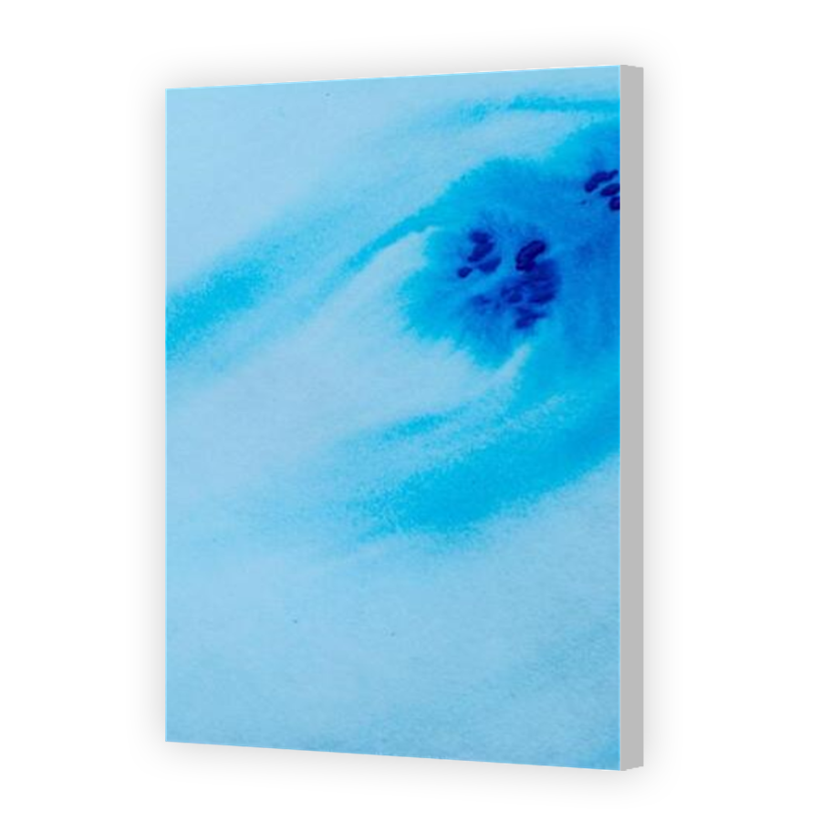 Thumbnail for Canvas - Coloured Canvas Wrap