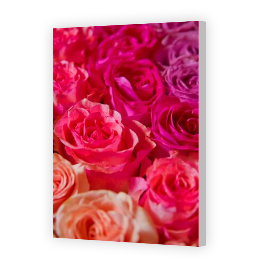 Thumbnail for Canvas - Coloured Canvas Wrap