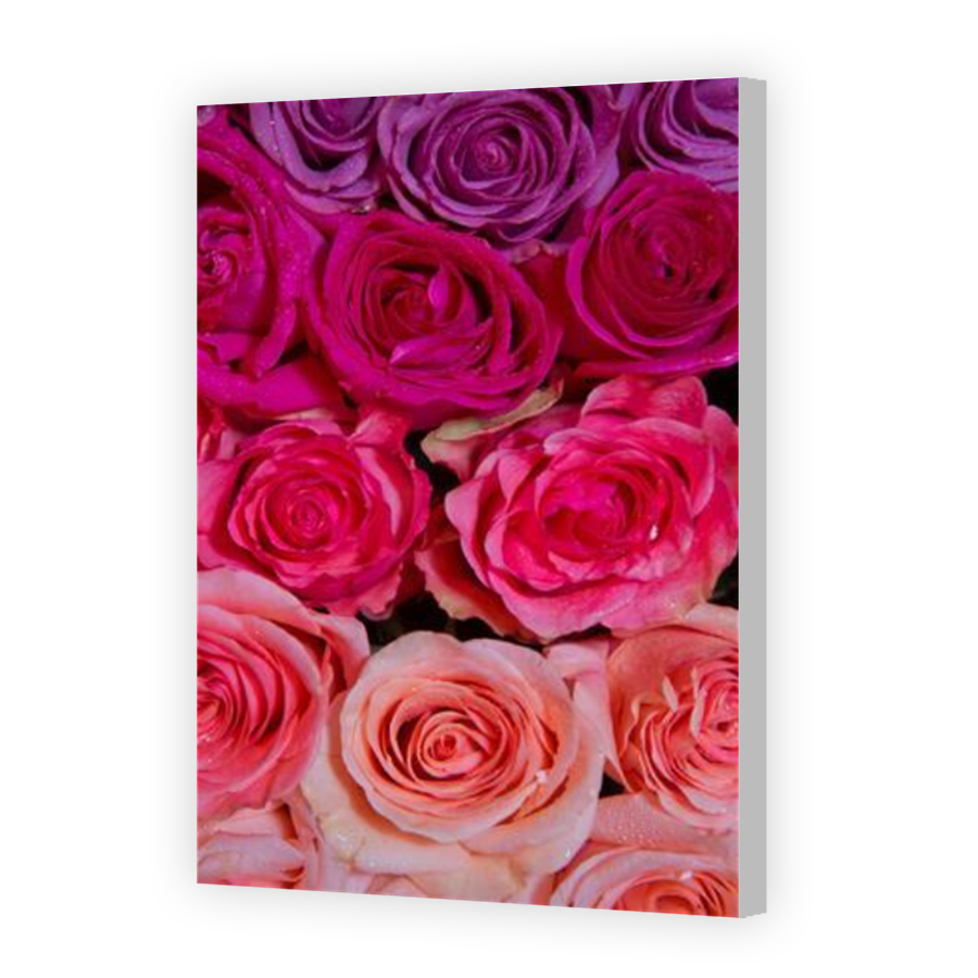 Thumbnail for Canvas - Coloured Canvas Wrap