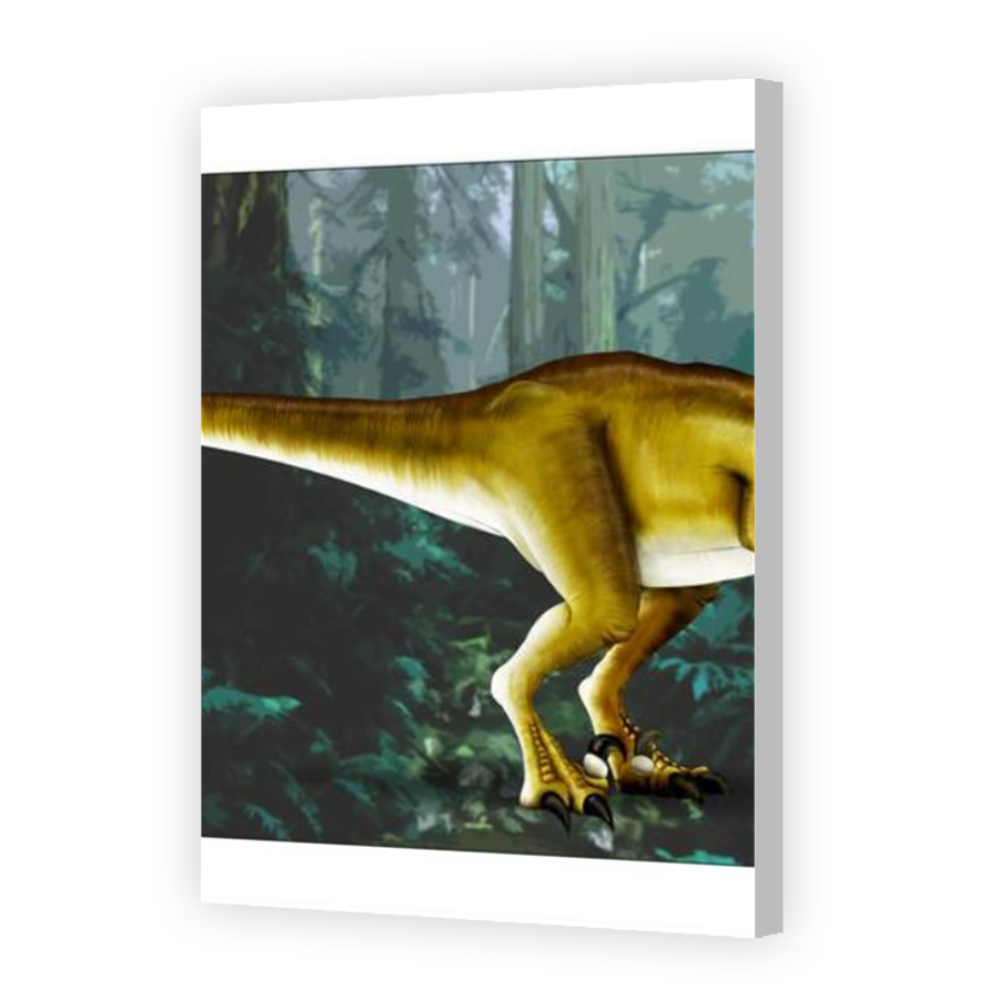 Thumbnail for Canvas - Coloured Canvas Wrap