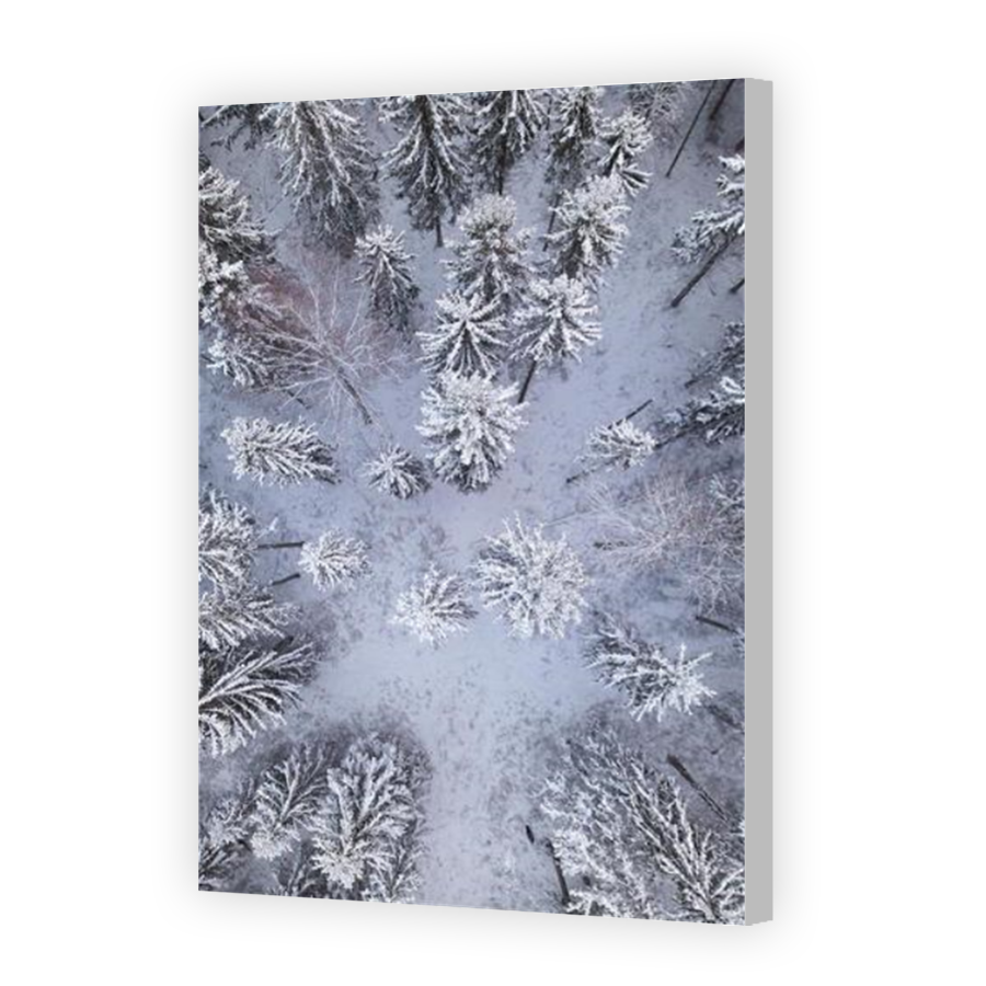 Thumbnail for Canvas - Coloured Canvas Wrap