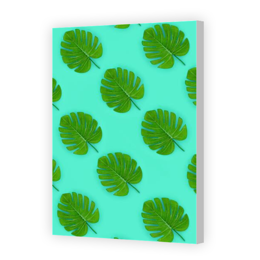 Thumbnail for Canvas - Coloured Canvas Wrap